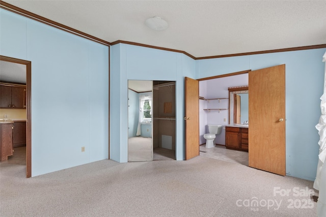 112 Melody St, Clyde, NC 28721 - unfurnished bedroom featuring crown molding, ensuite bathroom, and carpet flooring