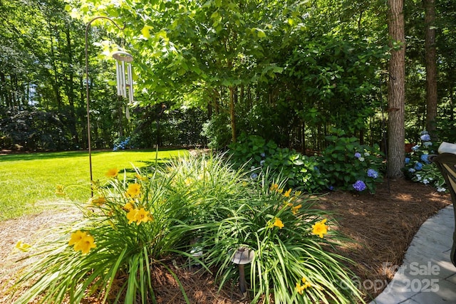 3009 Botetourt Ct, Weddington, NC 28104 - view of grassy yard