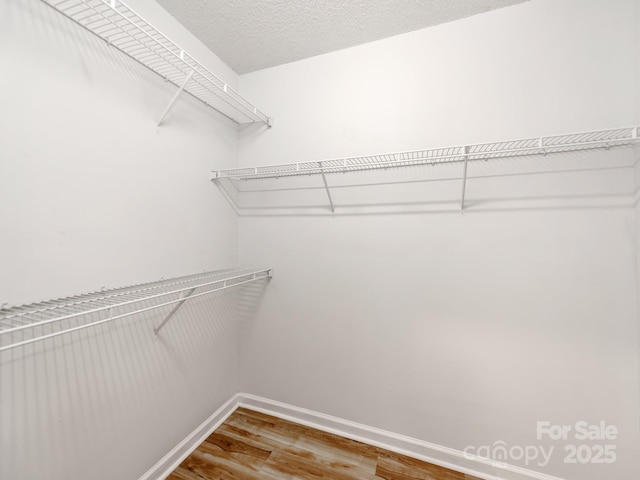 10736 Spruce Mountain Rd, Charlotte, NC 28214 - spacious closet with wood finished floors