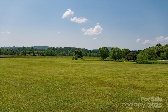 30 Greene Ln, Fletcher, NC 28732 - view of grassy yard with a rural view