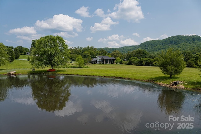 30 Greene Ln, Fletcher, NC 28732 - photo 3