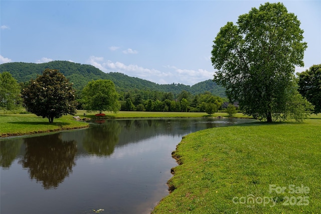 30 Greene Ln, Fletcher, NC 28732 - photo 17