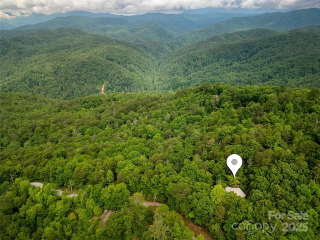 261 Franks Cove Rd, Brevard, NC 28712 - bird's eye view of a forest and a mountainous background