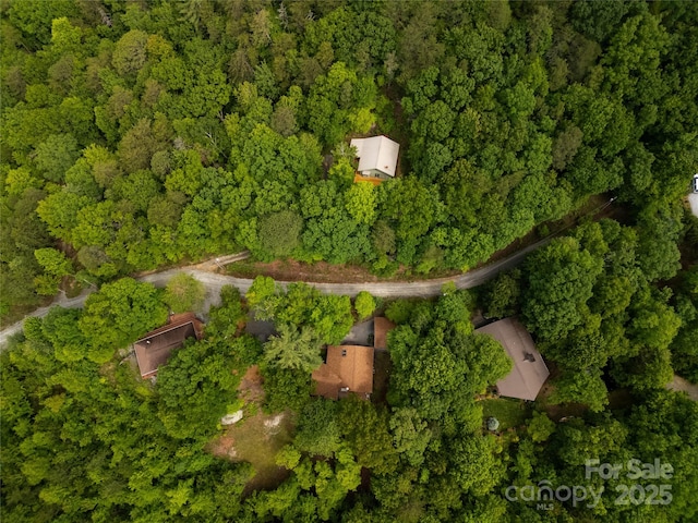 261 Franks Cove Rd, Brevard, NC 28712 - aerial view of property's location with a heavily wooded area