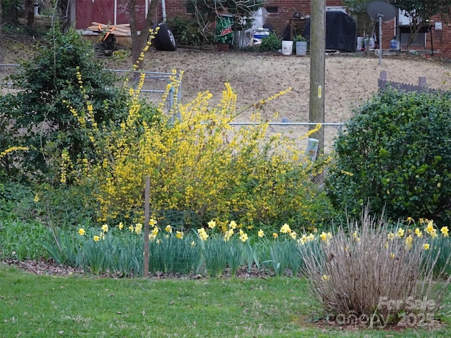 5806 Whitingham Dr, Charlotte, NC 28215 - view of yard
