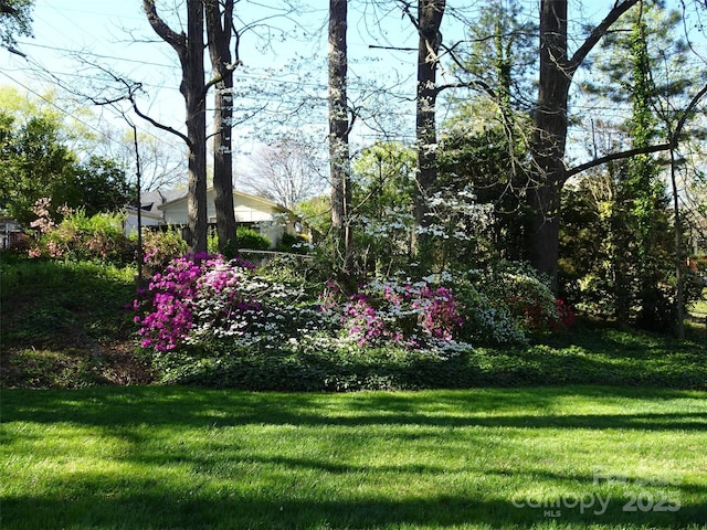 5806 Whitingham Dr, Charlotte, NC 28215 - view of green lawn