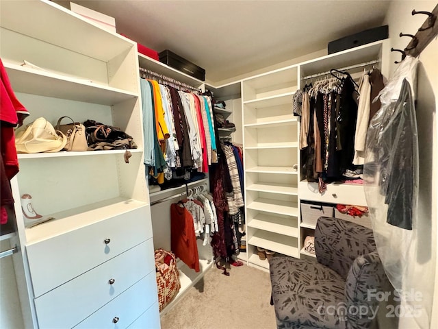 750 Fraternity Row, Kannapolis, NC 28081 - walk in closet featuring carpet floors