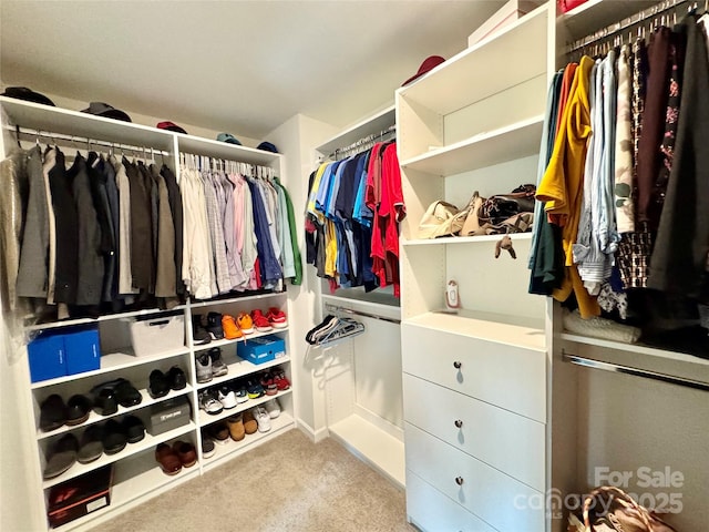 750 Fraternity Row, Kannapolis, NC 28081 - spacious closet with carpet