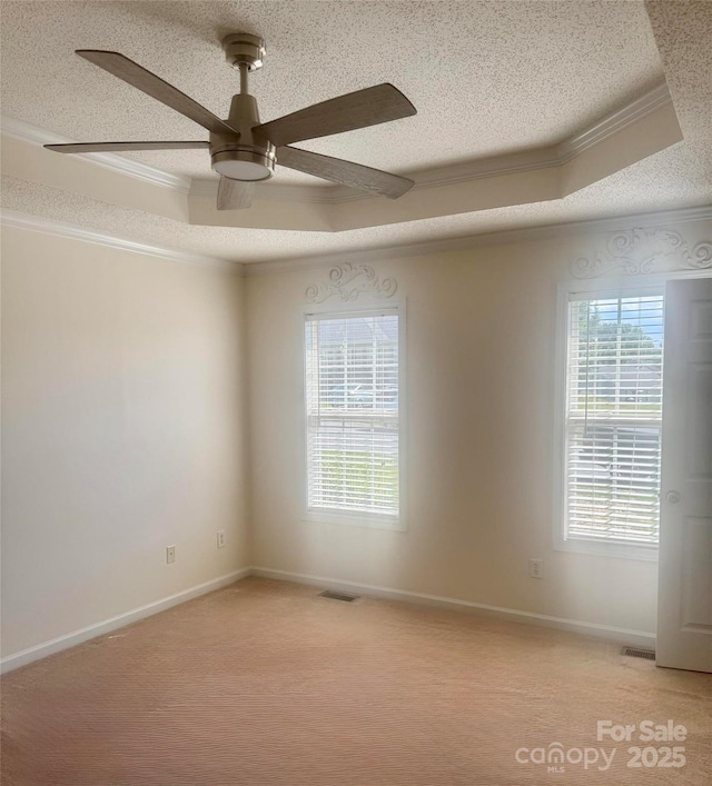1743 Silver Stream Dr, Rock Hill, SC 29730 - spare room with a tray ceiling, crown molding, a textured ceiling, a ceiling fan, and light carpet