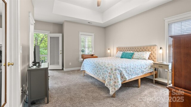 6129 Caseys Side Way, Fort Mill, SC 29708 - carpeted bedroom featuring multiple windows, baseboards, ceiling fan, and a raised ceiling