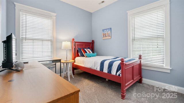 6129 Caseys Side Way, Fort Mill, SC 29708 - carpeted bedroom with baseboards