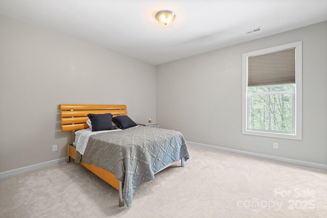 240 Bells Crossing Dr, Mooresville, NC 28117 - photo 20
