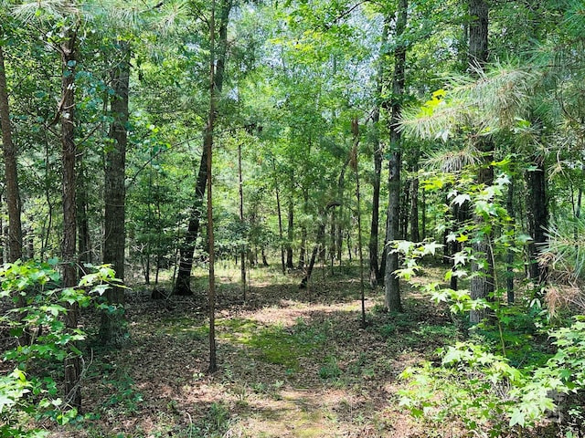 2618 Pineview Dr, Lancaster, SC 29720 - view of tree filled area