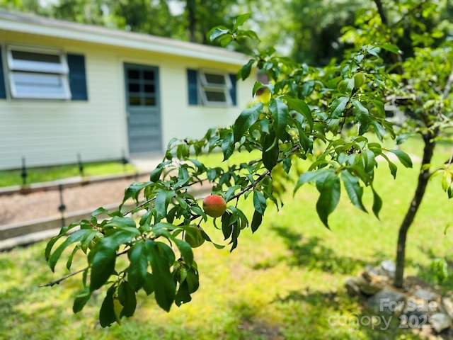 2618 Pineview Dr, Lancaster, SC 29720 - view of yard