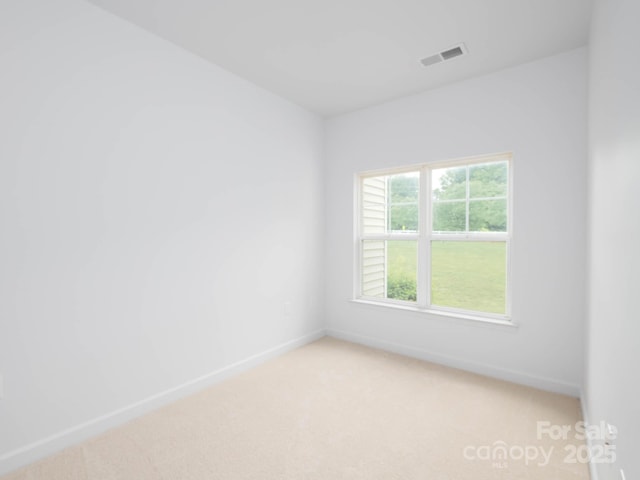 17119 Doe Valley Ct, Cornelius, NC 28031 - photo 36