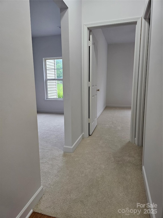 17119 Doe Valley Ct, Cornelius, NC 28031 - photo 21