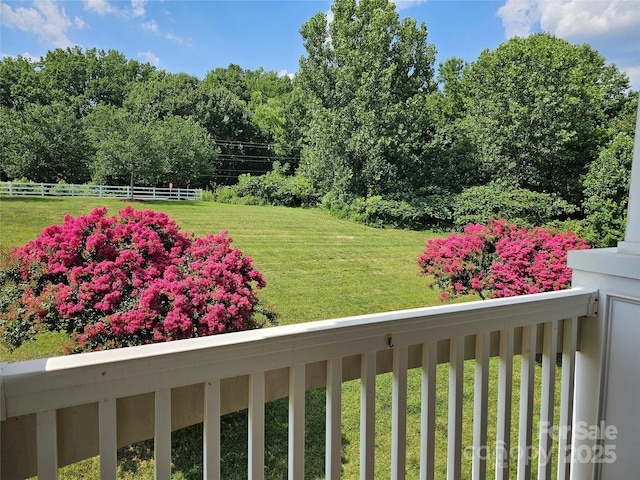 17119 Doe Valley Ct, Cornelius, NC 28031 - photo 26