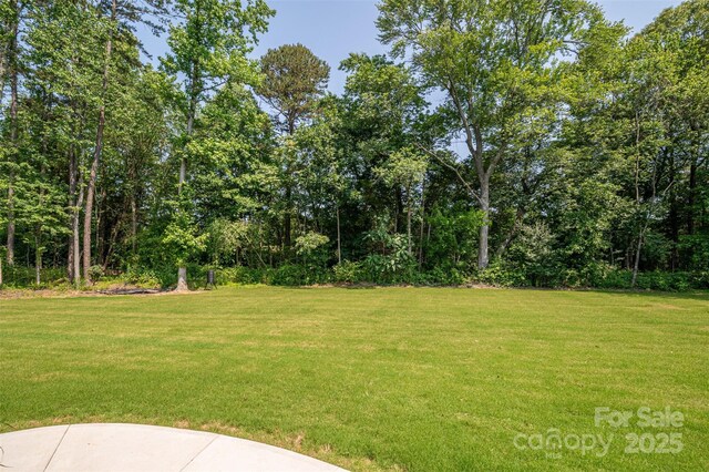 4143 Willow Haven Dr, Denver, NC 28037 - photo 41