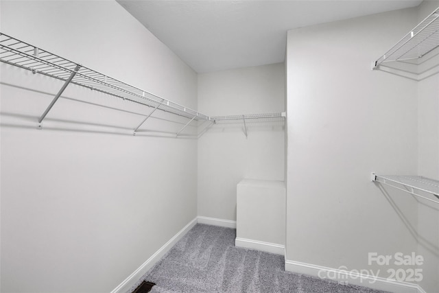 2005 Schofield Pl, Salisbury, NC 28144 - walk in closet featuring carpet floors