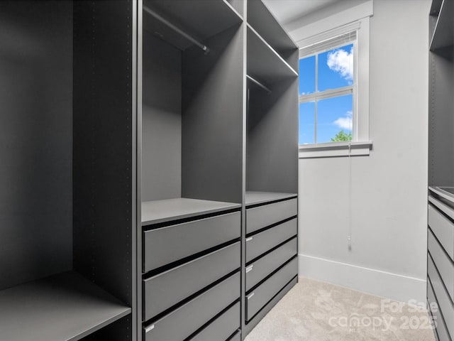807 Herrons Ferry Rd, Rock Hill, SC 29730 - walk in closet with carpet