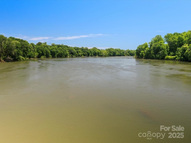 807 Herrons Ferry Rd, Rock Hill, SC 29730 - water view featuring a forest