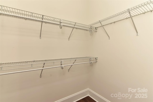 17210 Sulky Plough Rd Unit 1206, Charlotte, NC 28277 - view of spacious closet