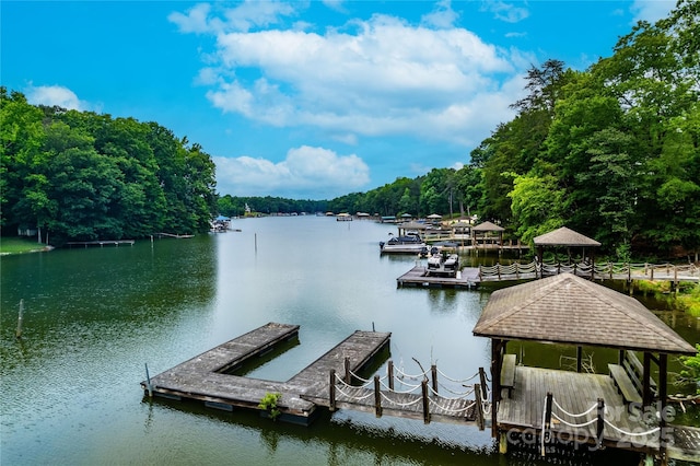 6644 Goose Point Dr, Denver, NC 28037