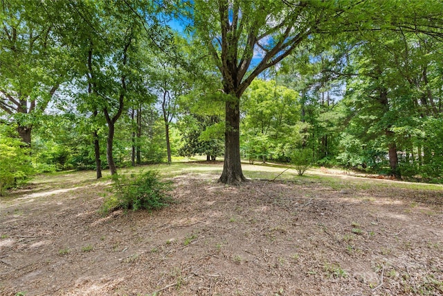 208 Lipe Rd, Troutman, NC 28166 - view of yard