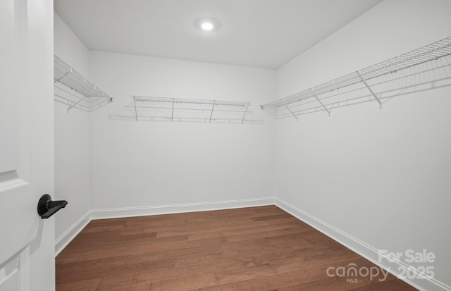 1048 Waxhaw Crossing Dr Unit 261, Waxhaw, NC 28173 - walk in closet with dark wood-style floors