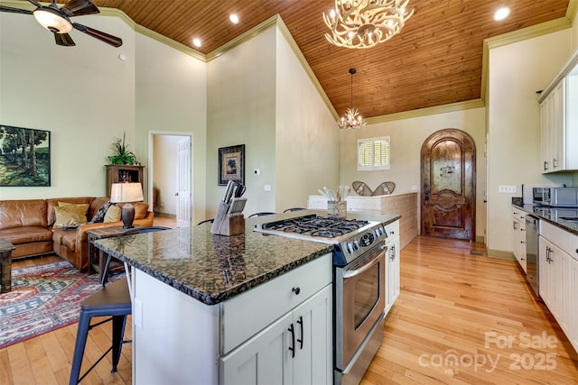 315 Black Bear Xing, Bryson City, NC 28713 - kitchen with stainless steel appliances, crown molding, wood ceiling, a breakfast bar area, and open floor plan