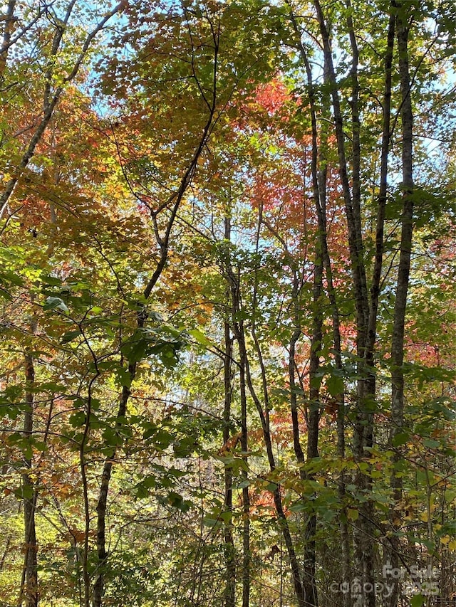 LOT13 Highlands Dr, Lake Lure, NC 28746