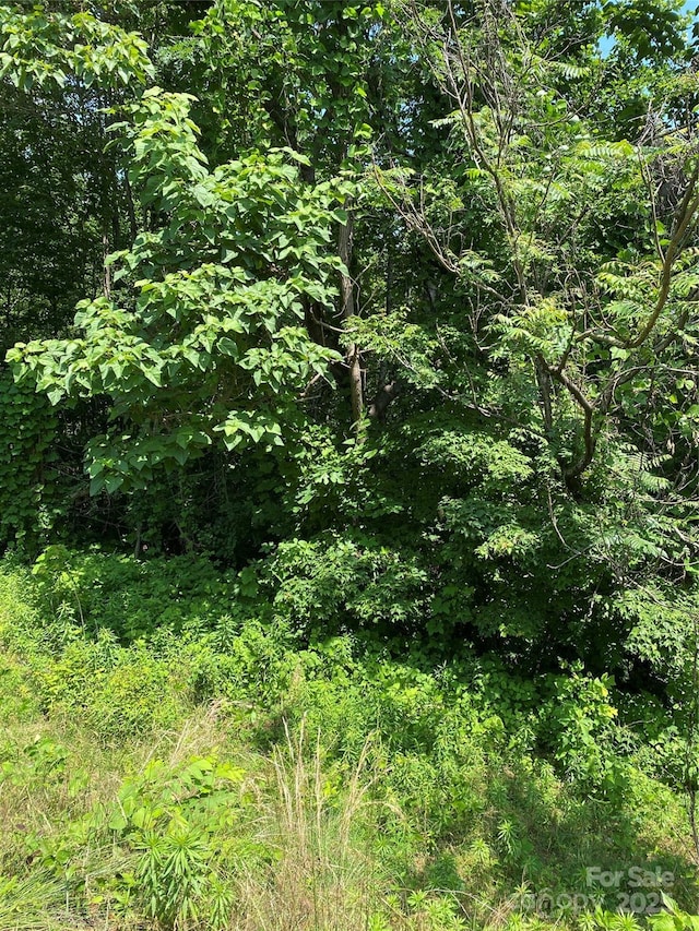 LOT13 Highlands Dr, Lake Lure, NC 28746 - photo 14