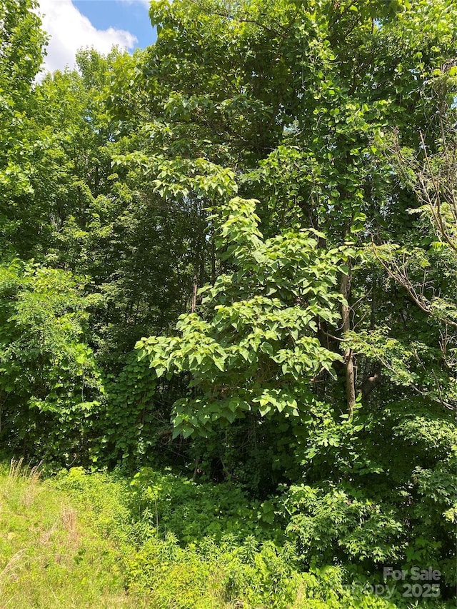 LOT13 Highlands Dr, Lake Lure, NC 28746 - photo 15