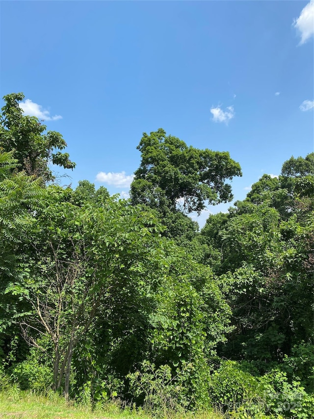 LOT13 Highlands Dr, Lake Lure, NC 28746 - photo 17