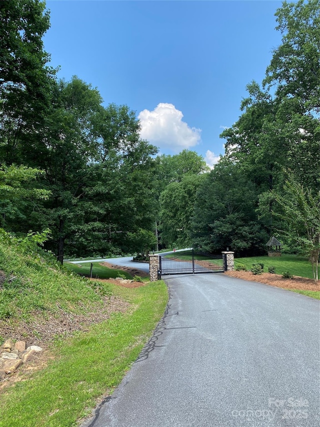 LOT13 Highlands Dr, Lake Lure, NC 28746 - photo 20