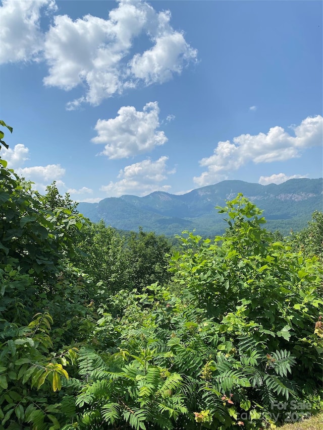 LOT13 Highlands Dr, Lake Lure, NC 28746 - photo 1