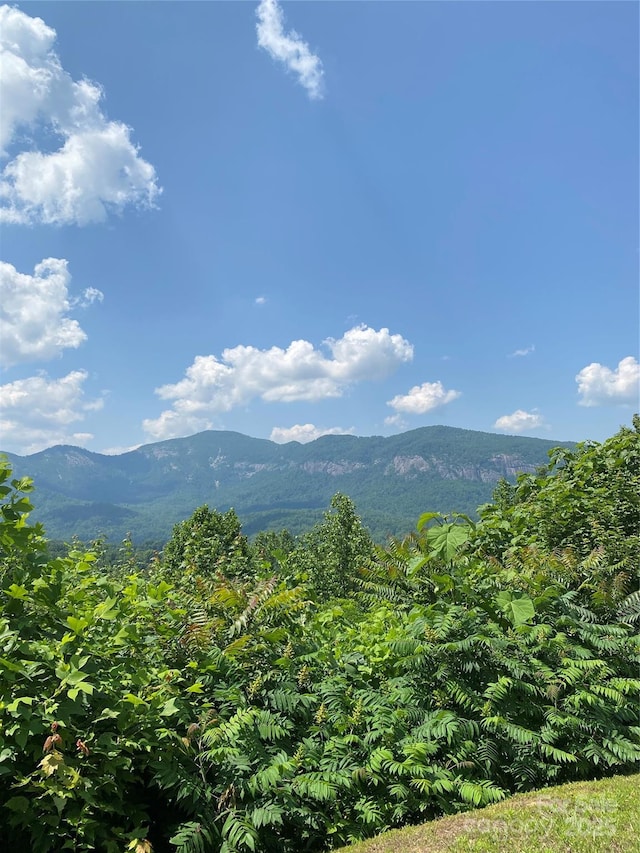 LOT13 Highlands Dr, Lake Lure, NC 28746 - photo 2