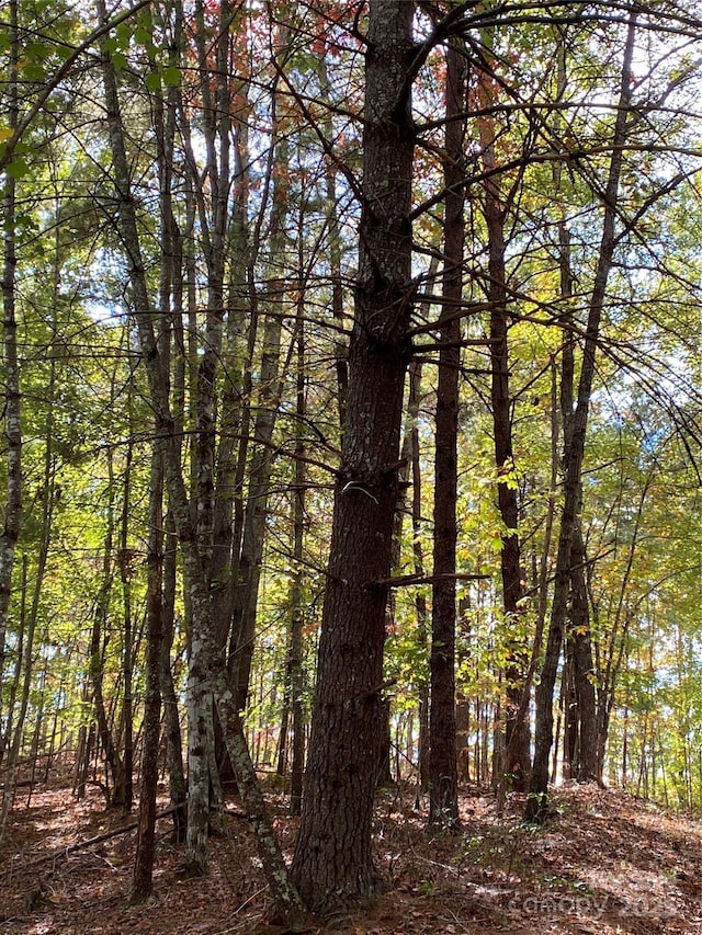 LOT13 Highlands Dr, Lake Lure, NC 28746 - photo 5