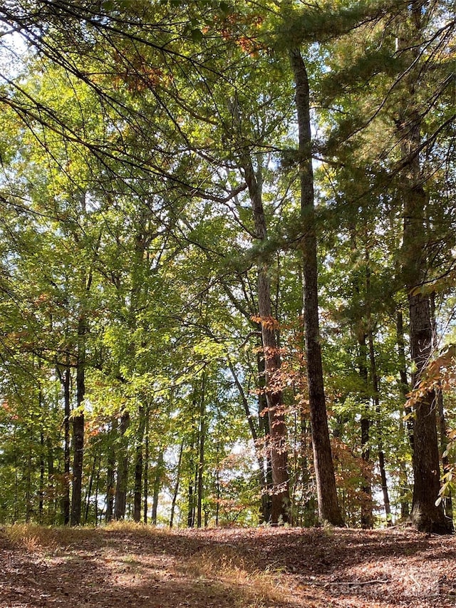 LOT13 Highlands Dr, Lake Lure, NC 28746 - photo 6