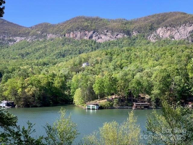 194 Mark Twain Dr, Lake Lure, NC 28743 - water view with a heavily wooded area and a mountainous background