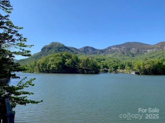 194 Mark Twain Dr, Lake Lure, NC 28743 - water view featuring mountains and a heavily wooded area