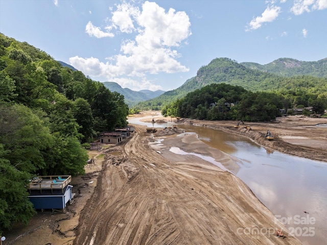 194 Mark Twain Dr, Lake Lure, NC 28743 - water view featuring a mountain backdrop and a forest