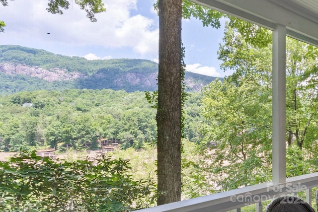 194 Mark Twain Dr, Lake Lure, NC 28743 - mountain view with a forest