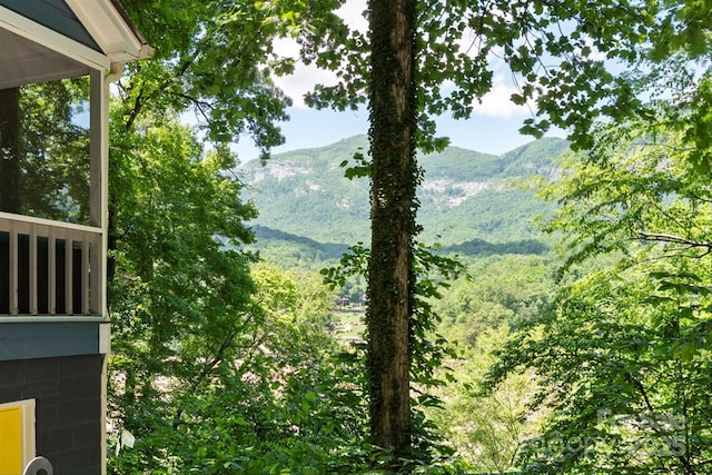 194 Mark Twain Dr, Lake Lure, NC 28743 - mountain view