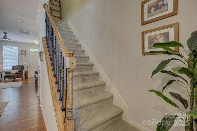 1225 Assembly St, Belmont, NC 28012 - staircase with wood finished floors, ceiling fan, and baseboards