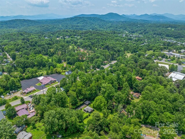 90 W Skyland Cir Unit 1, Asheville, NC 28804 - bird's eye view of a forest and a mountain backdrop