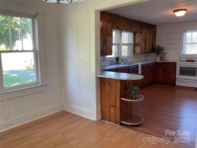 2138 SW Haven Cir, Lenoir, NC 28645 - kitchen featuring white electric range, light wood finished floors, brown cabinetry, light countertops, and a sink
