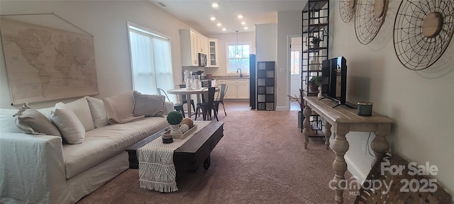 132 Connestee Rd, Brevard, NC 28712 - living room featuring carpet flooring and recessed lighting