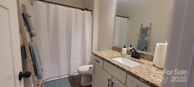 132 Connestee Rd, Brevard, NC 28712 - bathroom featuring toilet, vanity, curtained shower, and wood finished floors