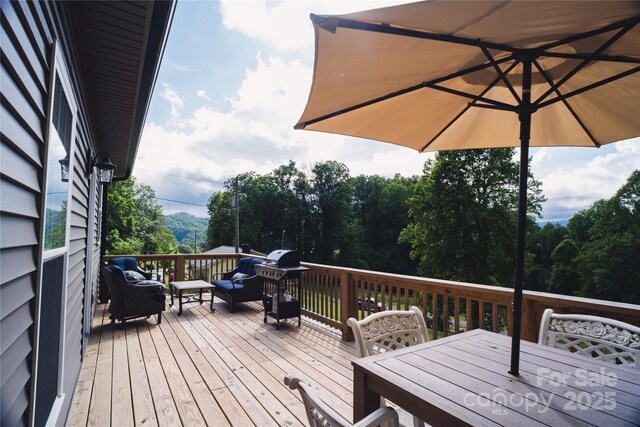 132 Connestee Rd, Brevard, NC 28712 - photo 26